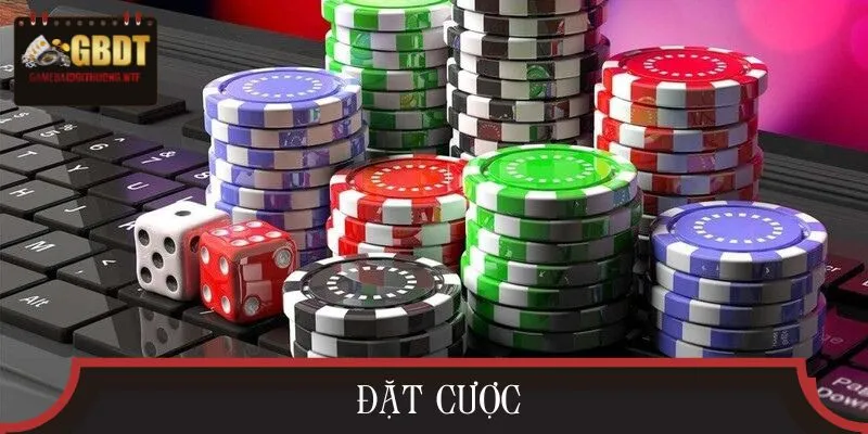 Thành viên truy cập vào sảnh game và đặt cược